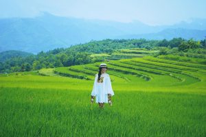 Phiêu du Bình Liêu – Sapa thu nhỏ giữa lòng Quảng Ninh