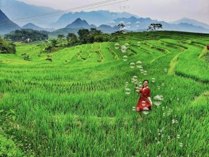 Nhanh chân lên bạn ơi, kẻo bỏ lỡ mùa thu ở Pù Luông – Thanh Hóa