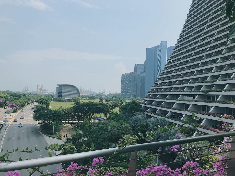 Đường xá hiện đại, thoáng mát nhiều cây xanh ở Singapore