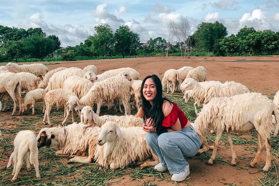 Kinh nghiệm du lịch Vũng Tàu - Đồng cừu